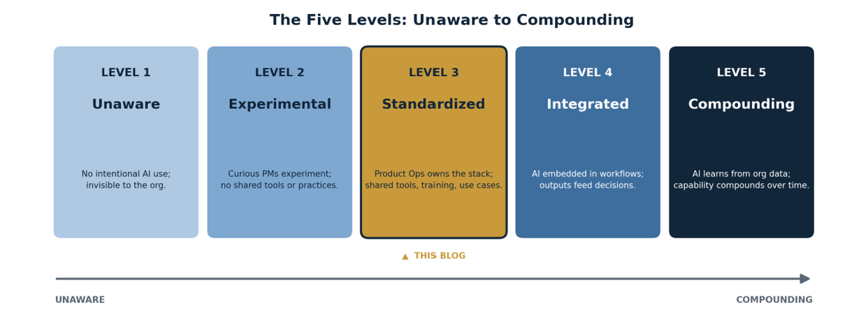 Five Levels Image - Standardized Blog