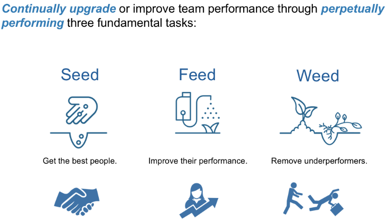 Seed Feed Weed Jul 29 2026 09 54 02 1165 PM